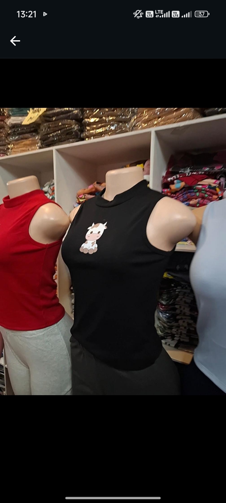 Camisetas vaquita